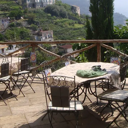 Rina Amalfi
